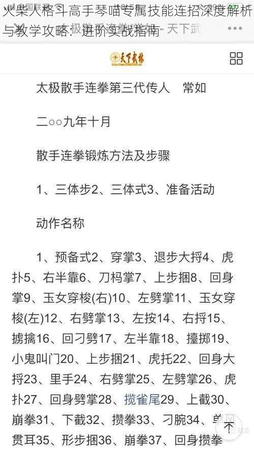 火柴人格斗高手琴喵专属技能连招深度解析与教学攻略：进阶实战指南