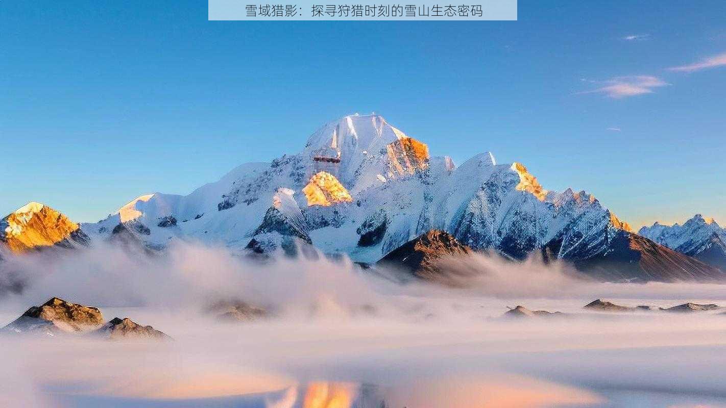 雪域猎影：探寻狩猎时刻的雪山生态密码