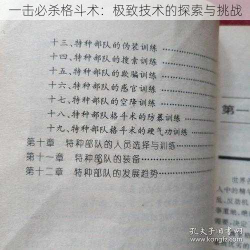 一击必杀格斗术：极致技术的探索与挑战